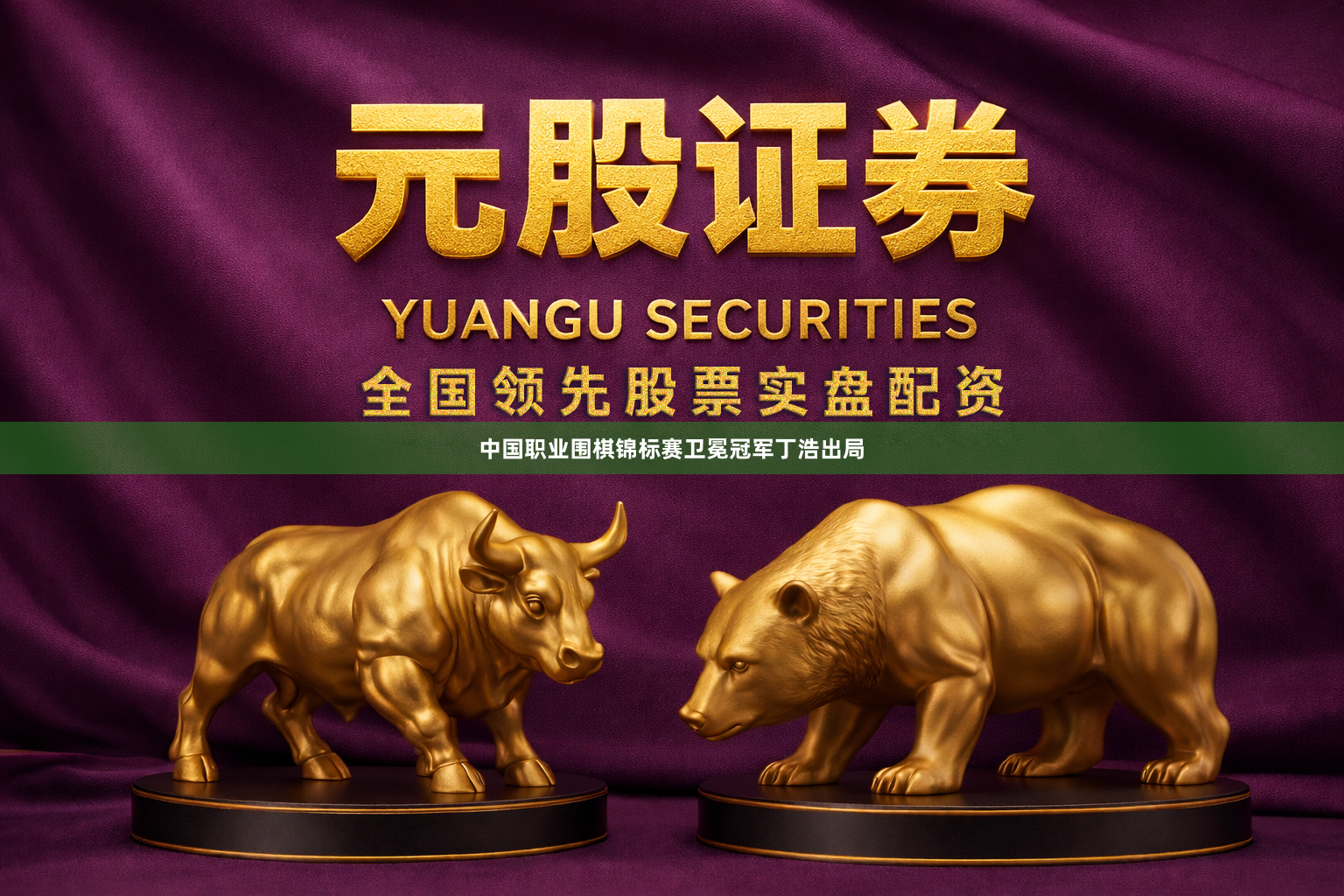 中国职业围棋锦标赛卫冕冠军丁浩出局
